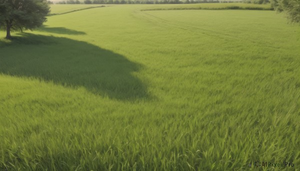 A majestic image of a landscape in day