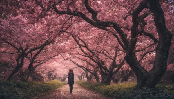 A tranquil outdoors showcasing a female