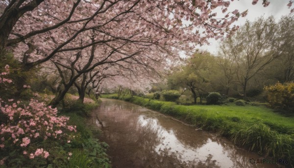 A landscape in a tranquil day