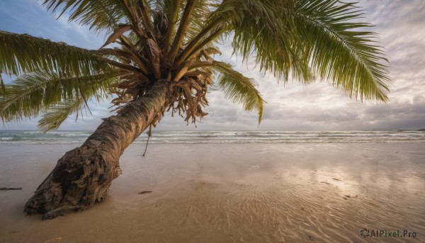 outdoors, sky, day, cloud, tree, no humans, ocean, beach, cloudy sky, scenery, sand, palm tree, horizon, shore