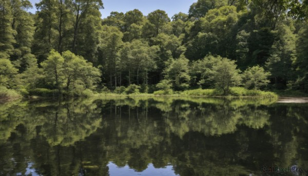 A landscape surrounded by a captivating day