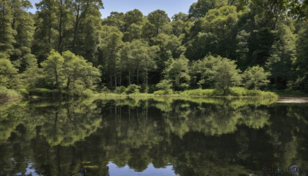 outdoors,sky,day,cloud,water,tree,blue sky,no humans,nature,scenery,forest,reflection,river,landscape,lake,reflective water