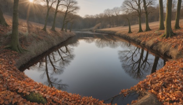 outdoors,day,water,tree,no humans,leaf,sunlight,grass,nature,scenery,forest,reflection,light rays,sun,autumn leaves,maple leaf,river,autumn,landscape,lake,sky,cloud,sunset,mountain,branch,road,bare tree,reflective water