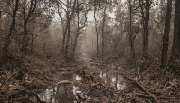 monochrome,outdoors,water,tree,dutch angle,no humans,sunlight,grass,nature,scenery,forest,reflection,sepia,river,landscape,plant,light rays,rock,branch,bare tree,stream