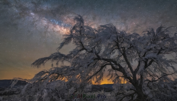 outdoors,sky,cloud,tree,no humans,night,grass,plant,star (sky),nature,night sky,scenery,starry sky,sunset,mountain,branch,bare tree,gradient sky,landscape,milky way