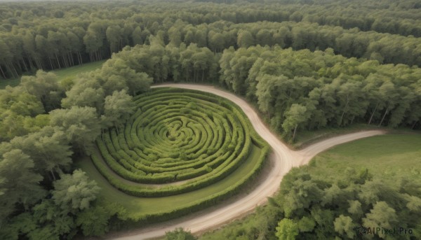 A landscape in the heart of a beautiful outdoors