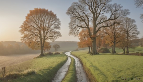 A landscape surrounded by a captivating sunset day