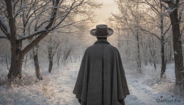 solo,long sleeves,1boy,hat,standing,male focus,outdoors,from behind,cape,tree,coat,black headwear,nature,scenery,cloak,snow,forest,black cape,facing away,bare tree,fedora,black cloak,black hair,gloves,black gloves,grass,top hat,winter,fog