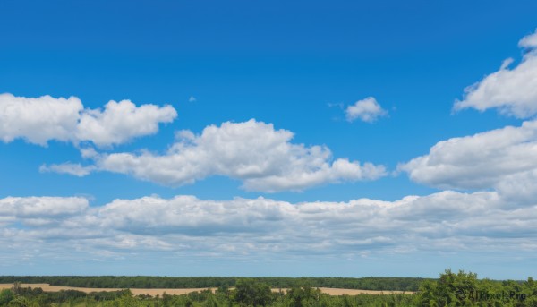 A dynamic view of a landscape in day
