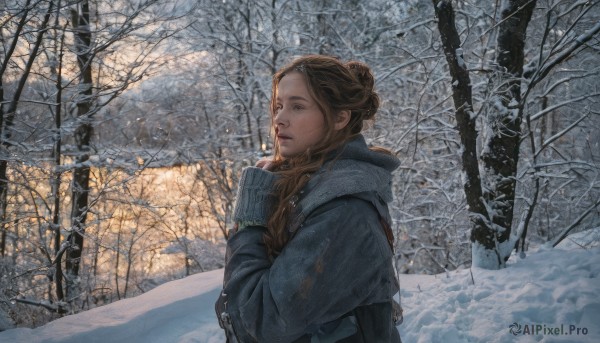 A majestic female within a vivid snowy day