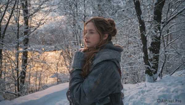 1girl,solo,long hair,brown hair,gloves,long sleeves,brown eyes,upper body,braid,outdoors,day,fingerless gloves,hair bun,tree,lips,coat,single braid,single hair bun,nature,scenery,hair over shoulder,snow,forest,realistic,winter clothes,winter,bare tree,blue eyes,parted lips,sweater,snowing,nose,blue coat,winter coat