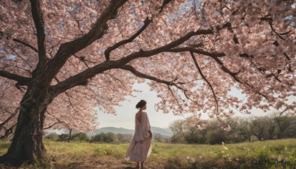 1girl, solo, short hair, black hair, long sleeves, dress, standing, flower, outdoors, sky, day, white dress, tree, grass, cherry blossoms, scenery