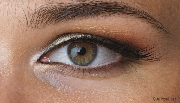 solo,looking at viewer,1boy,brown eyes,yellow eyes,male focus,eyelashes,traditional media,close-up,1other,reflection,realistic,eye focus,no humans