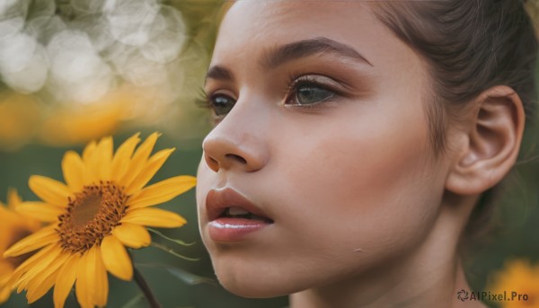 A female framed by the beauty of a majestic dynamic scene