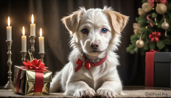 HQ,solo,looking at viewer,blue eyes,bow,ribbon,indoors,blurry,red bow,collar,no humans,bell,animal,fire,box,christmas,neck bell,gift,dog,realistic,gift box,candle,animal focus,christmas tree,red collar,christmas ornaments,candlestand,signature,bowtie,red ribbon,depth of field,blurry background,red bowtie,jingle bell,white fur,animal collar,flame