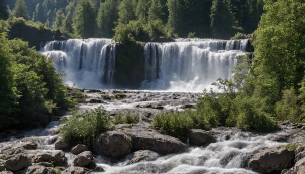 outdoors,day,water,tree,no humans,plant,nature,scenery,forest,rock,river,waterfall,landscape,moss,stream,artist name,signature,grass,bush