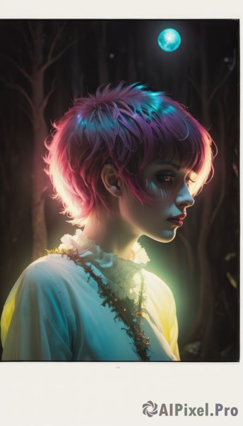 1girl,solo,short hair,bangs,shirt,red eyes,brown eyes,jewelry,closed mouth,white shirt,upper body,pink hair,outdoors,frills,parted lips,artist name,necklace,blurry,from side,tree,lips,eyelashes,profile,makeup,night,glowing,looking away,border,moon,lipstick,nature,web address,white border,full moon,forest,realistic,nose,purple hair,multicolored hair,earrings,piercing,ear piercing,portrait,backlighting,pink lips,stud earrings,planet