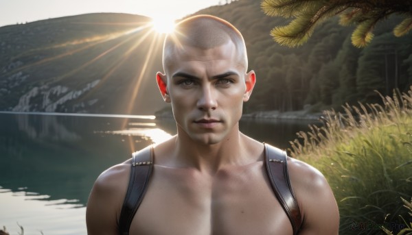 solo,looking at viewer,1boy,brown eyes,closed mouth,upper body,male focus,outdoors,tree,facial hair,sunlight,thick eyebrows,backpack,plant,nature,topless male,realistic,sun,bald,very short hair,buzz cut,day,water,bag,muscular,portrait