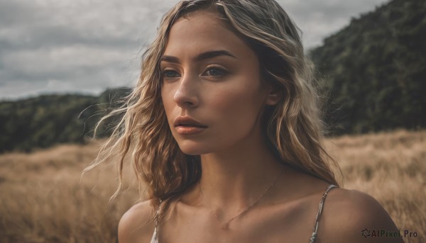 1girl,solo,long hair,looking at viewer,blue eyes,blonde hair,brown hair,bare shoulders,jewelry,collarbone,upper body,outdoors,parted lips,sky,day,cloud,necklace,blurry,lips,blurry background,cloudy sky,portrait,freckles,realistic,brown eyes,teeth,mole,depth of field,wind,grey sky