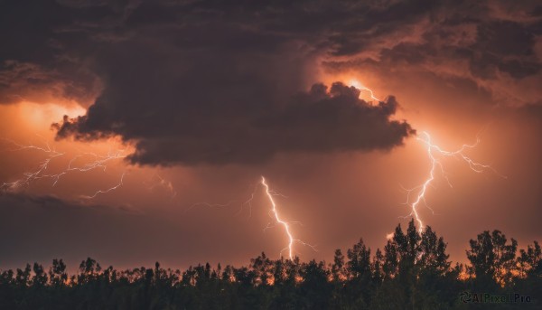 outdoors,sky,cloud,tree,no humans,cloudy sky,nature,scenery,forest,sunset,sun,electricity,lightning,orange theme,red sky,dark,landscape