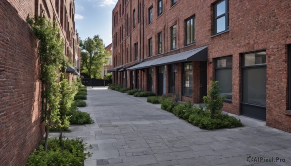 The majestic beauty of a street set within a calm day