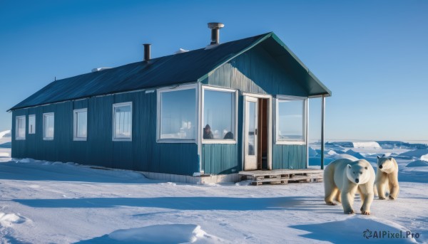 outdoors,sky,day,blue sky,no humans,window,shadow,animal,building,scenery,snow,dog,door,house,footprints,cloud,winter,bear,polar bear