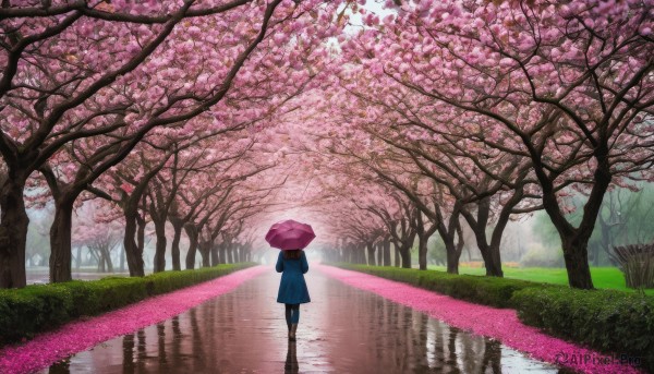 1girl, solo, brown hair, holding, boots, outdoors, day, from behind, tree, coat, dutch angle, umbrella, grass, cherry blossoms, scenery, reflection, walking, holding umbrella, road, blue coat, puddle, path, spring (season), pink umbrella