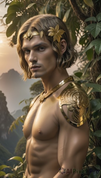 A male in the heart of a peaceful outdoors