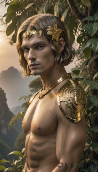 solo,looking at viewer,short hair,brown hair,hair ornament,1boy,navel,jewelry,closed mouth,nipples,upper body,male focus,nude,outdoors,dark skin,necklace,armor,blurry,tree,lips,muscular,facial hair,leaf,piercing,abs,sunlight,dark-skinned male,pectorals,plant,muscular male,shoulder armor,nature,topless male,realistic,nose,chest hair,laurel crown,blue eyes,tattoo,circlet