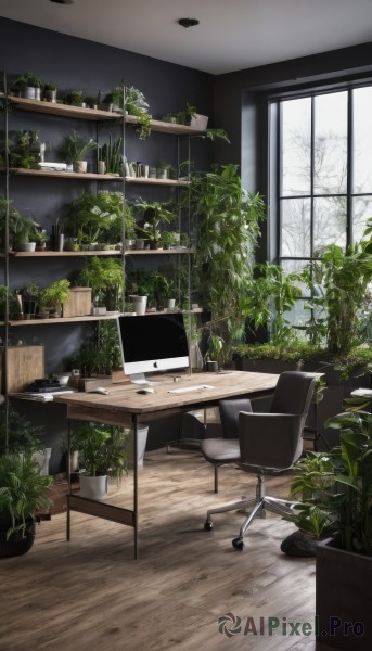 day,indoors,tree,cup,no humans,window,chair,table,plant,scenery,wooden floor,potted plant,lamp,computer,monitor,shelf,laptop,book,desk,keyboard (computer),mouse (computer),office