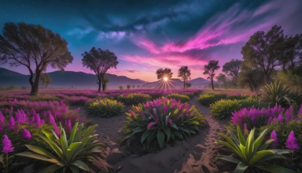 flower, outdoors, sky, cloud, tree, no humans, night, grass, plant, star (sky), nature, night sky, scenery, starry sky, sunset, mountain, road, path, purple sky