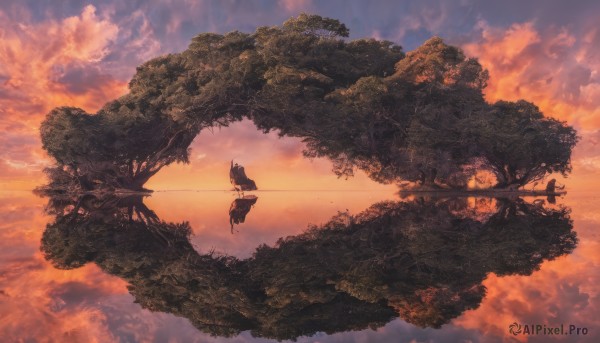 outdoors, sky, cloud, water, tree, no humans, cloudy sky, scenery, reflection, sunset