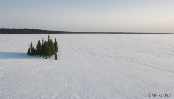 outdoors,sky,day,cloud,water,tree,no humans,ocean,nature,scenery,snow,forest,mountain,winter,landscape,grey sky,footprints,pine tree,monochrome,horizon,bare tree,fog