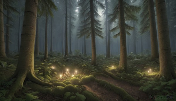 A peaceful image of a unique subject in fiery outdoors