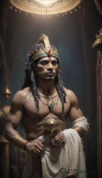 A majestic image of a male in dynamic scene
