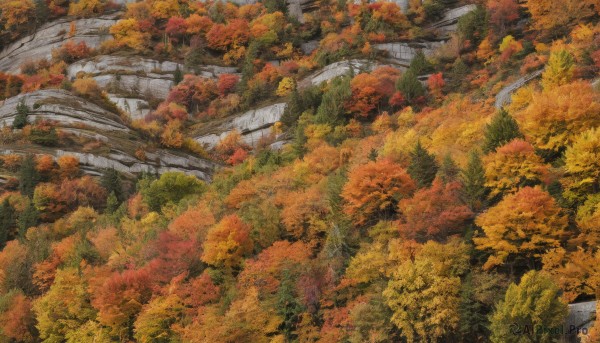 A landscape captured beautifully in a inviting day