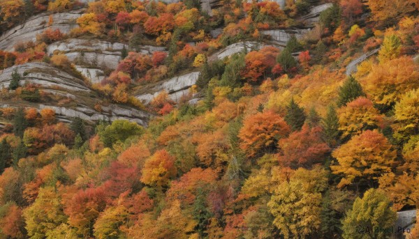 outdoors,day,tree,no humans,leaf,traditional media,nature,scenery,forest,road,painting (medium),autumn leaves,maple leaf,autumn,artist name,water,river,landscape