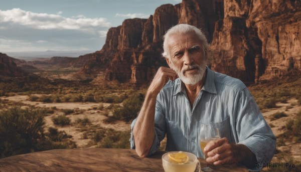 solo,shirt,long sleeves,1boy,holding,sitting,upper body,white hair,grey hair,male focus,outdoors,sky,day,striped,collared shirt,cloud,cup,facial hair,table,blue shirt,holding cup,beard,alcohol,drinking glass,head rest,striped shirt,mug,mountain,realistic,mustache,manly,old,old man,elbow rest,wooden table,looking at viewer,food,blue sky,dress shirt,fruit,scar,scenery,landscape,wrinkled skin