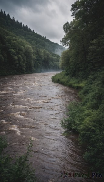 A peaceful day with a landscape