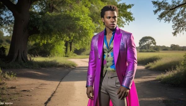 HQ,solo,short hair,shirt,black hair,long sleeves,1boy,brown eyes,standing,jacket,male focus,outdoors,open clothes,necktie,day,collared shirt,pants,artist name,dark skin,tree,lips,coat,looking to the side,facial hair,watermark,formal,dark-skinned male,suit,blue shirt,web address,realistic,nose,purple shirt,grey pants,looking at viewer,brown hair,sky,signature,vest,dated,road