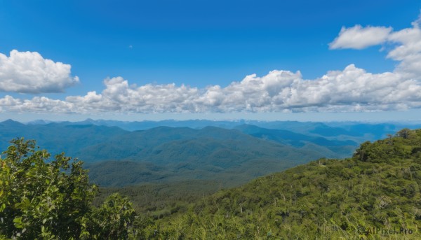 outdoors,sky,day,cloud,tree,blue sky,no humans,bird,cloudy sky,grass,nature,scenery,forest,mountain,field,landscape,mountainous horizon,hill,ocean,horizon