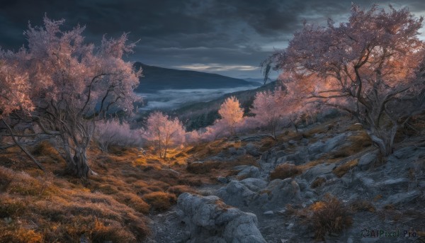 A delightful capture of a landscape within day