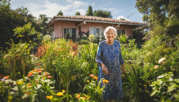 1girl,solo,looking at viewer,smile,short hair,long sleeves,dress,standing,closed eyes,flower,white hair,grey hair,outdoors,sky,day,cloud,blurry,tree,blue sky,depth of field,blue dress,cloudy sky,grass,plant,building,nature,scenery,house,old,old man,orange flower,old woman,garden,wrinkled skin,jewelry,window,leaf,realistic,yellow flower