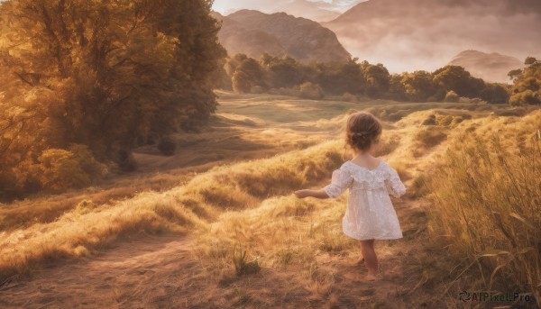 1girl,solo,short hair,brown hair,dress,standing,short sleeves,outdoors,sky,cloud,dark skin,water,hair bun,from behind,white dress,dark-skinned female,tree,single hair bun,grass,child,nature,scenery,wading,forest,mountain,facing away,field,landscape,mountainous horizon,long sleeves,sunlight,cloudy sky,walking,sunset,female child,sepia