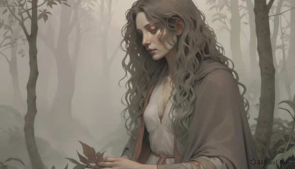 1girl,solo,long hair,breasts,brown hair,dress,holding,cleavage,medium breasts,closed mouth,closed eyes,upper body,outdoors,white dress,tree,lips,eyelashes,leaf,wavy hair,bandages,plant,nature,cloak,forest,curly hair,robe,bandaged arm,nose,brown eyes,small breasts,parted lips,from side,profile,looking down,fog