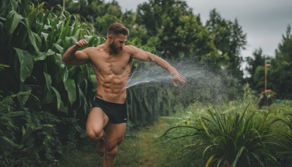 Day brought to life with a dynamic male