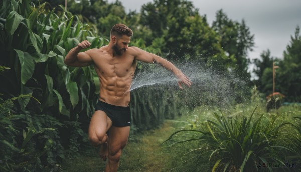 solo,short hair,brown hair,black hair,1boy,navel,holding,underwear,nipples,male focus,thighs,outdoors,day,water,stomach,blurry,tree,muscular,facial hair,thick thighs,abs,underwear only,thick eyebrows,pectorals,plant,muscular male,nature,bara,beard,forest,large pectorals,bulge,topless male,running,mature male,realistic,mustache,male underwear,undercut,foot out of frame,splashing,chest hair,navel hair,photo background,leg hair,arm hair,hairy,black male underwear,blurry background,feet out of frame,field,armpit hair