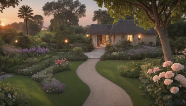 The beauty of a garden set in a calm sunset outdoors