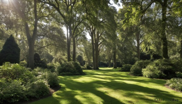 A landscape in a serene day