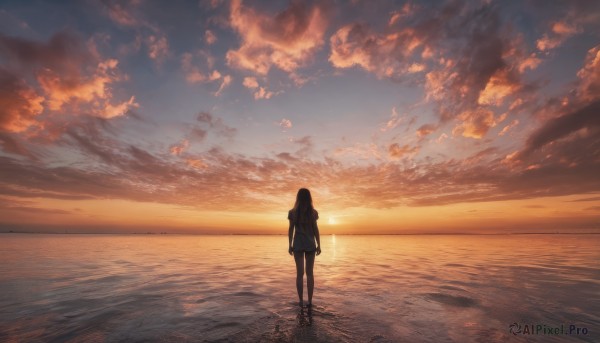 1girl, solo, long hair, skirt, standing, outdoors, sky, cloud, water, from behind, ocean, cloudy sky, scenery, sunset, horizon, facing away